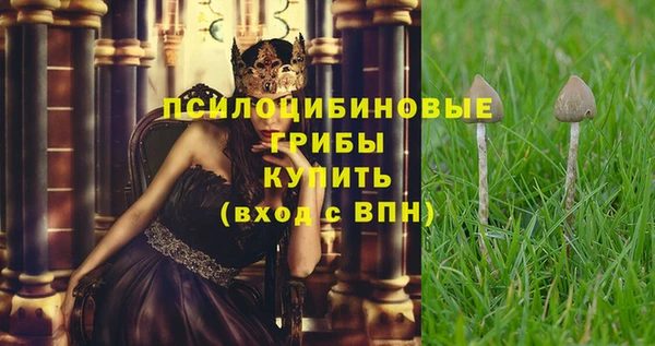 амф Алзамай
